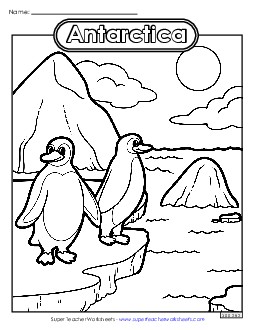 Penguin Coloring Page Coloring Pages Worksheet