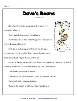 Story: Dave\'s Beans Reading Comprehension Worksheet