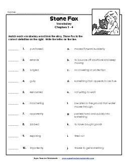 Vocabulary for Chapters 3-4 Books Worksheet