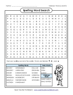 Word Search Puzzle Spelling E Worksheet