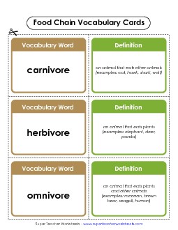 Food Chain Vocab Cards Food Chains Worksheet