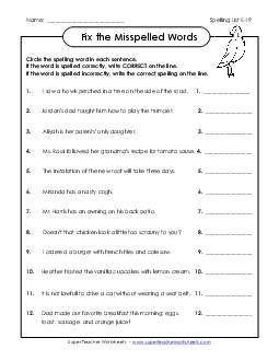 Fix the Misspelled Words (E-19)  Spelling E Worksheet