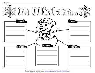 Five Senses: Winter Web Worksheet