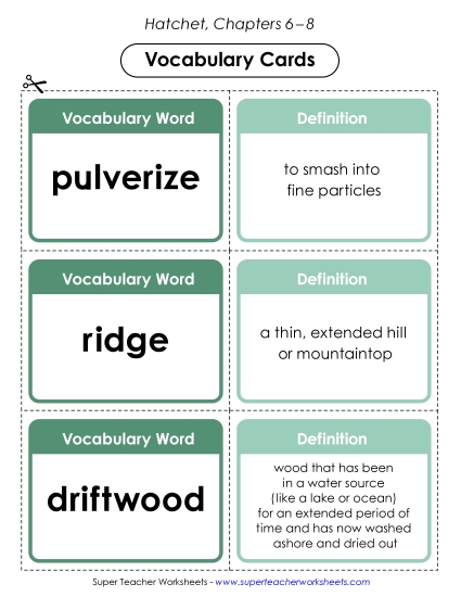New Vocabulary Cards (Chapters 6–8) Worksheet