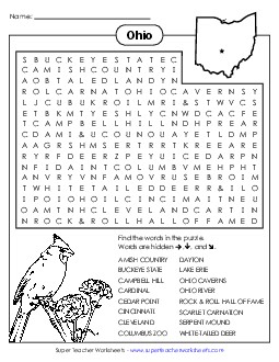 Word Search Puzzle States Individual Worksheet