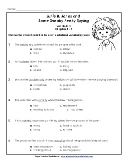 Vocab for Chapters 1-3 Free Book Junie Spying Worksheet