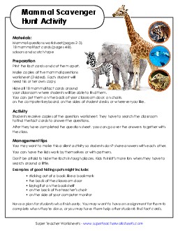 Mammal Scavenger Hunt Free Animals Worksheet