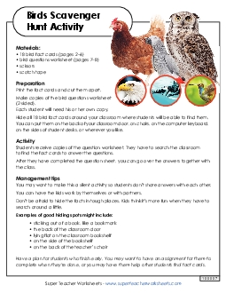 Bird Scavenger Hunt Animals Worksheet