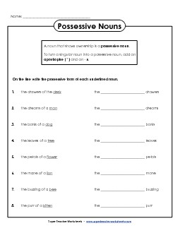 Possessive Nouns Worksheet