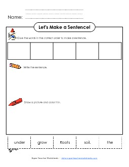 Build-a-Sentence: Roots Plants Worksheet