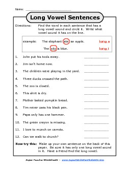 Long Vowel Sentences Phonics Worksheet