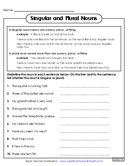 Singular and Plural Nouns Worksheet