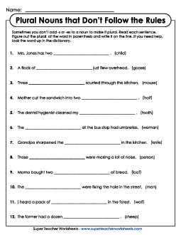 Irregular Plural Nouns Worksheet