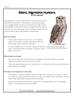 Silent, Nighttime Hunters Reading Comprehension Worksheet