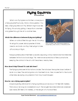 Flying Squirrel Reading Comprehension Worksheet