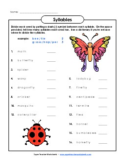 Breaking Words into Syllables  - Insect Theme Worksheet