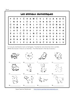 Word Search: Pets French Worksheet