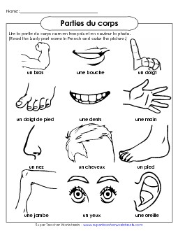 Pictures: Body Parts French Worksheet