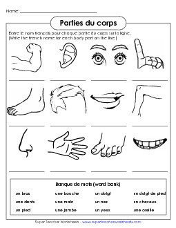 Write the Word: Body Parts French Worksheet