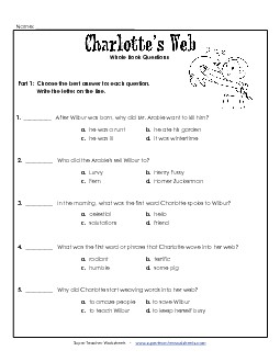 Whole Book Questions Books Worksheet