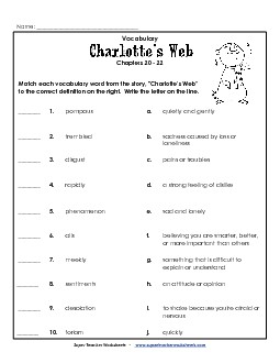 Vocab for Chapters 20-22 Books Worksheet