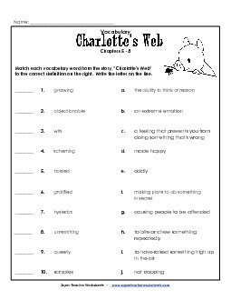 Chapter Book Literacy Units Free Printable Worksheet