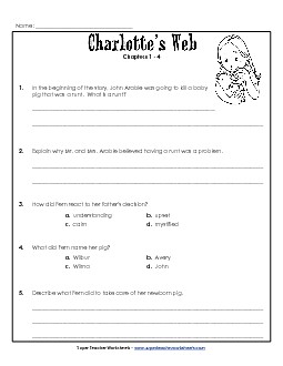 Questions for Chapters 1-4 Free Books Worksheet