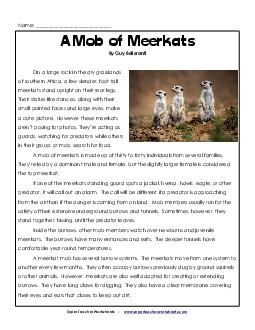 Meerkats 5th Grade Reading Comprehension Worksheet