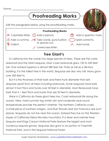 New Proofreading: Tree Giants Worksheet New Proofreading: Tree Giants Worksheet