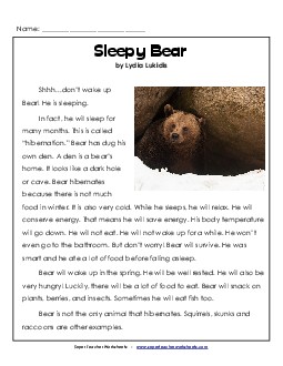 Sleepy Bear 2nd Grade Reading Comprehension Worksheet