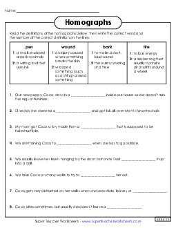 Homographs 5th Grade ELA Worksheet