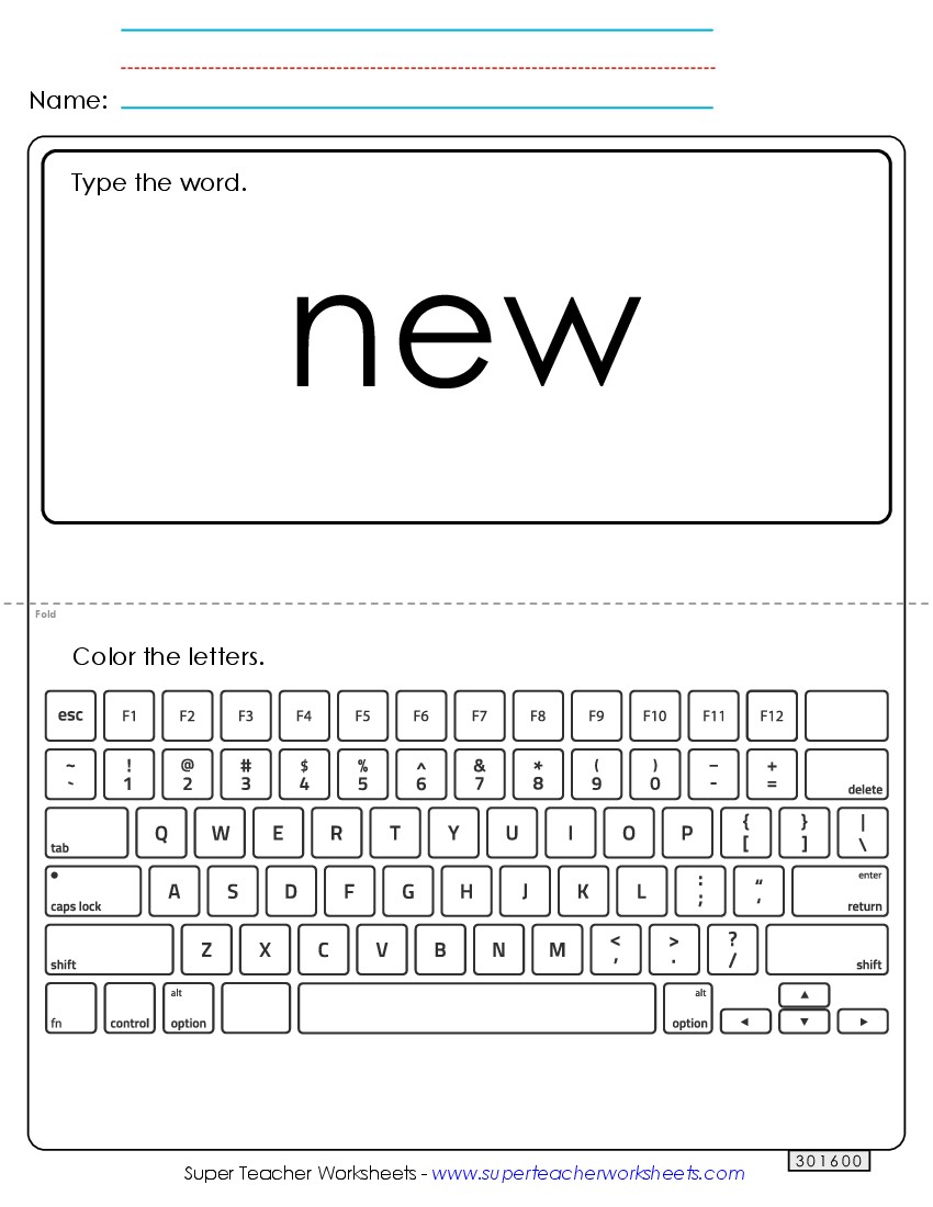 Type the Word: New Sight Words Individual Worksheet