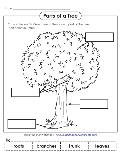 aParts of a Tree Cut & Glue