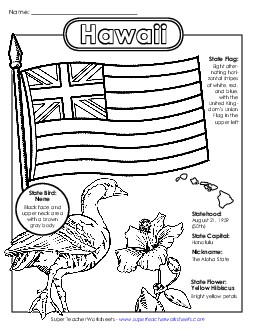 Hawaii State Symbols Coloring Page Free States Individual Worksheet