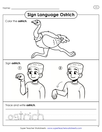 New Ostrich Worksheet New Ostrich Worksheet
