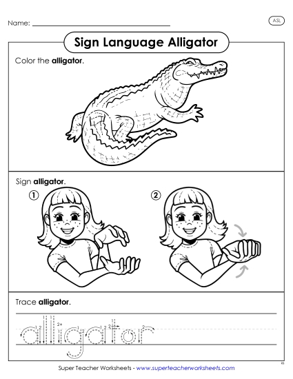 New Alligator Worksheet New Alligator Worksheet
