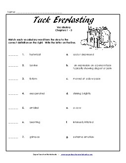 Vocabulary for Chapters 1-3 Free Book Tuck Everlasting Worksheet