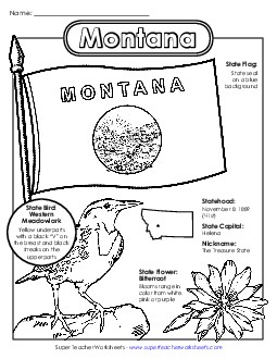 Montana State Symbols Coloring Page States Individual Worksheet