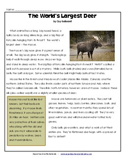 Moose 5th Grade Reading Comprehension Worksheet