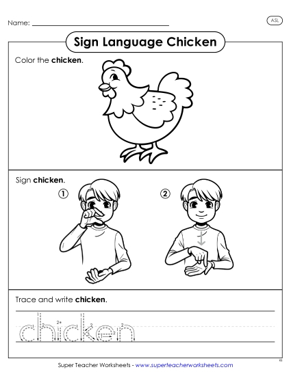 New Chicken Worksheet New Chicken Worksheet