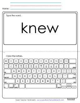 Type the Word: Knew Sight Words Individual Worksheet