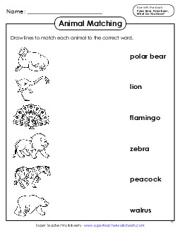 Animal Word-Picture Match Picture Book Polar Bear Worksheet