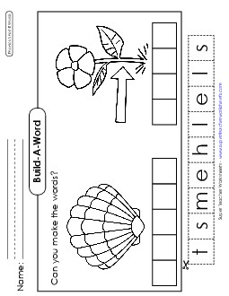 Build-a-Word: Stem & Shell Phonics Long Short E Worksheet