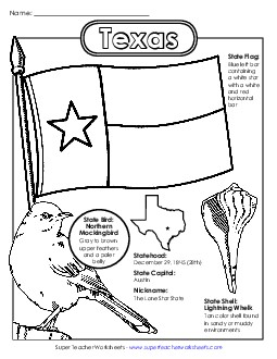 Texas State Symbols Coloring Page States Individual Worksheet