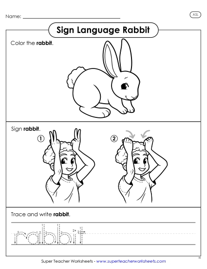 New Rabbit Worksheet New Rabbit Worksheet