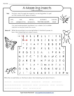 Word-Maze Puzzle: Insects A Maze Ing Worksheet