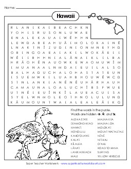 Word Search Puzzle States Individual Worksheet