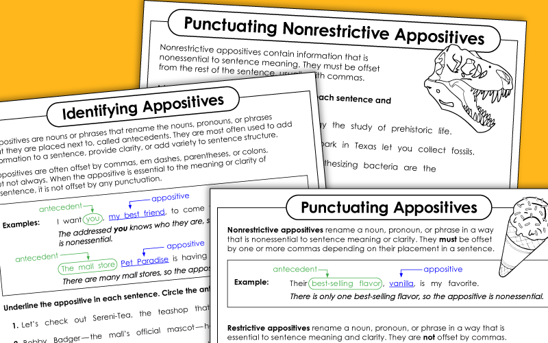 Appositives Worksheets Appositives Worksheets