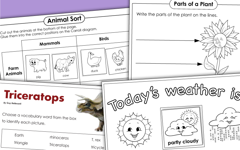 first grade science worksheets 1st Worksheets