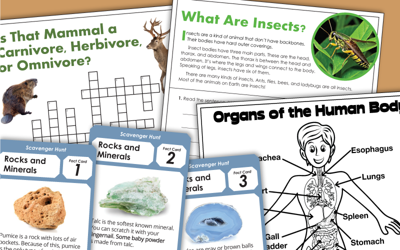 fourth grade science worksheets 4th Worksheets